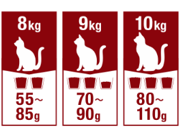 FINEPET'Scatkg2