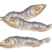 niboshu