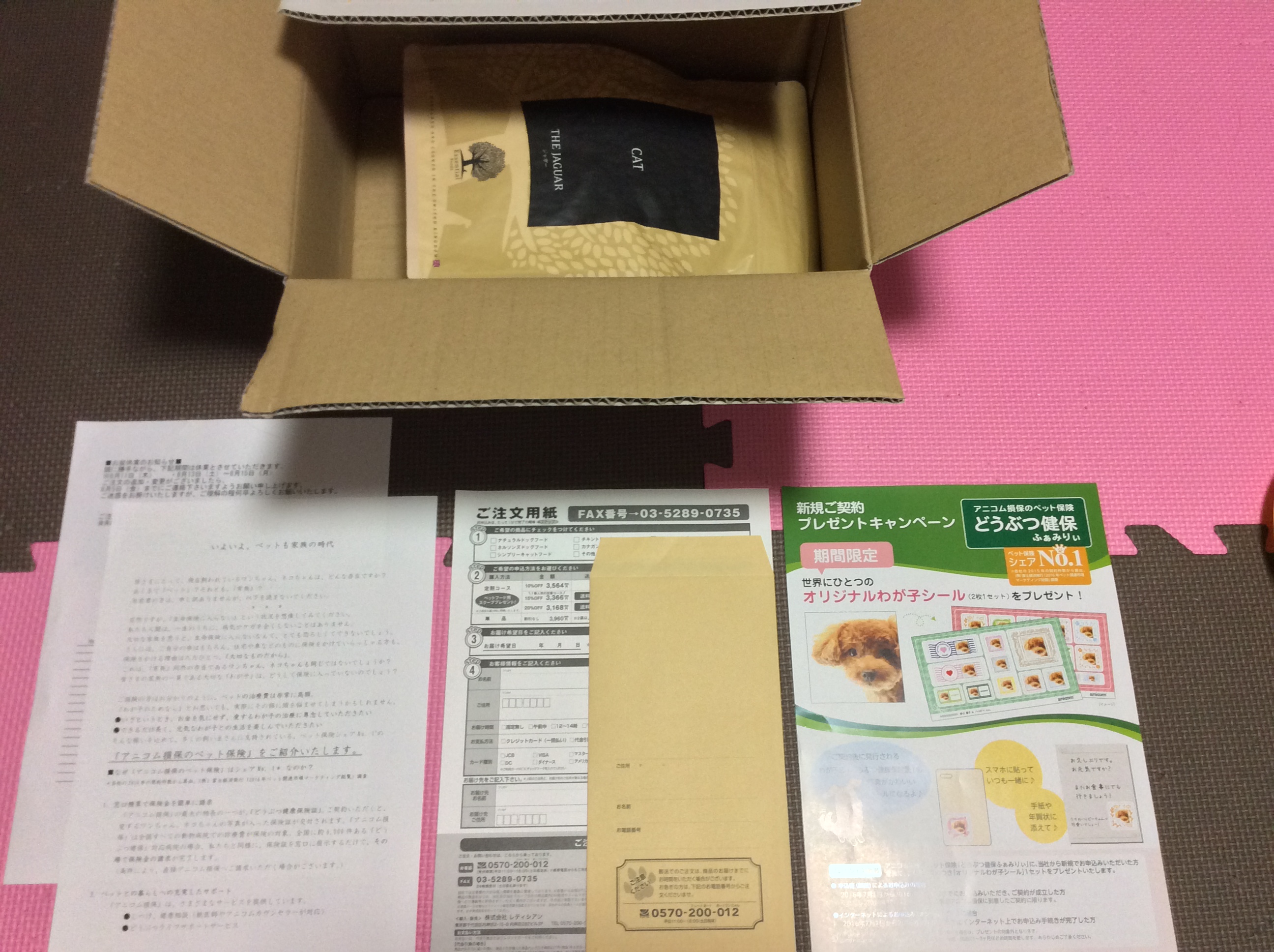 ジャガー開封