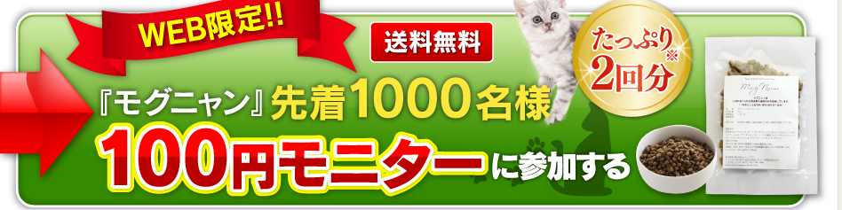 モグニャン100円モニター