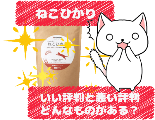 5 ねこひかりのいい評判と悪い評判にはどんなものがある?