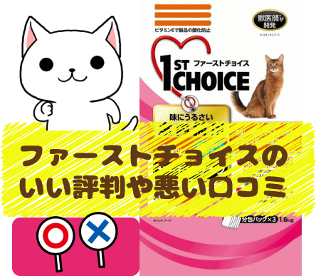 21 ファーストチョイスのいい評判や悪い口コミをチェック